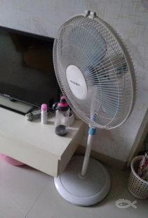 閑置家居物品整理與處理指南 從風(fēng)扇到衣架
